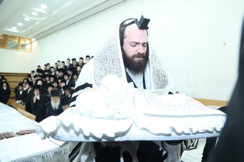 שכונת קטמון: שמחת הברית לבן נכדו ויד ימינו של האדמו"ר מערלוי | תיעוד