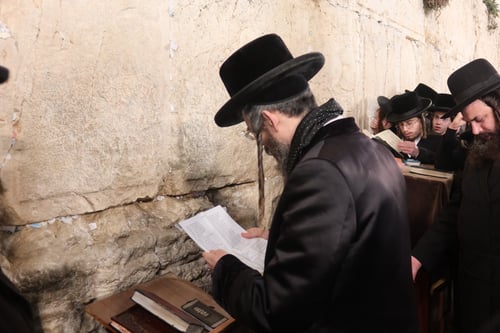 זוועהיל מתכוננת לשמחה: הרבי שפך שיח במירון ובכותל