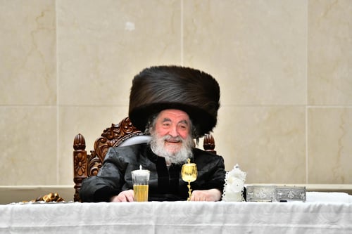 ויז'ניץ לובשת חג לקראת חתונת הנין הראשון | התפרצות של שמחה ב'פארשפיל' 