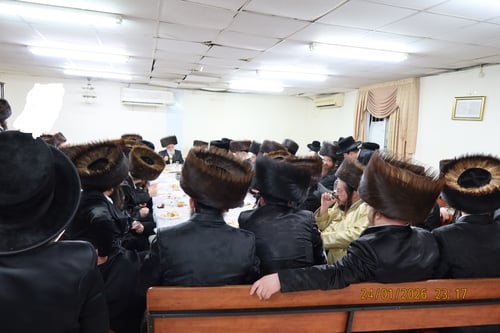 זכרו קדוש | הילולת הרה"ק רבי דוד מלעלוב זי"ע בחצרות נכדיו האדמו"רים בארץ