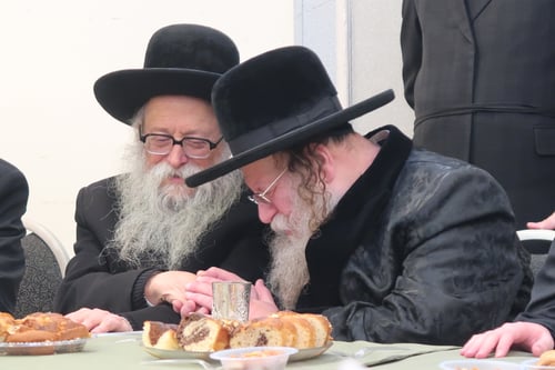 קשר של קיימא: האדמו"רים פיזזו עם החתן בשמחת התנאים המרגשת | תיעוד