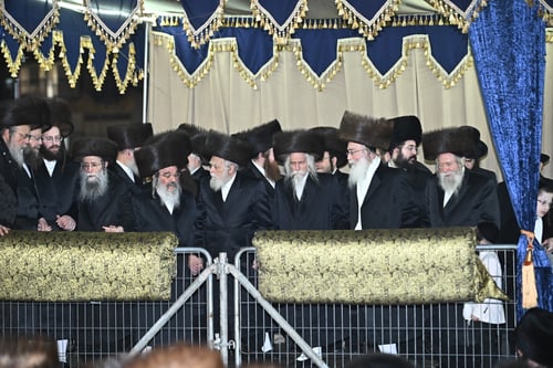 ריקוד ההדסים | תיעוד משמחת החתונה הגדולה בחצרות סטריקוב וערלוי