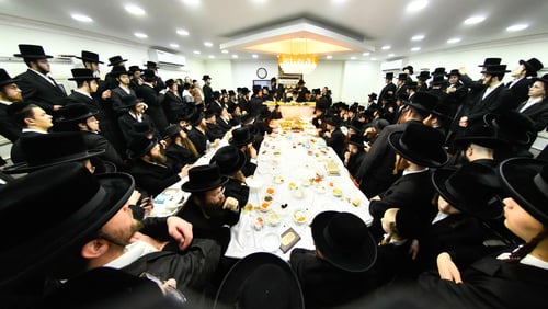 חסידי סאסוב נהרו לבני ברק ; הרבי ערך את שולחנו לרגל ט"ו בשבט בעיר | צפו בתיעוד