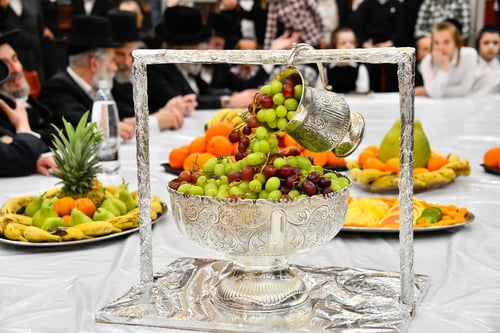 ענבים בכלי הנטלה: טיש ט"ו בשבט ב'שבט הלוי'