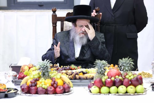 "כלל ישראל נמשלו לאתרוג": משאו של האדמו"ר מדינוב בשולחן חמישה עשר בשבט