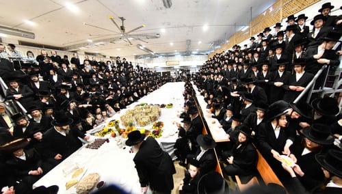 חלה בתוך ה'ליפטן' ואלפי ערכות לחסידים | ט"ו בשבט בחצה"ק מחנובקא בעלזא