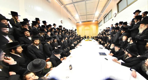 פֵּירוֹתֶיךָ מְתוּקִין | מאות חסידים בטיש של הרבי מזוטשקא לרגל ט"ו בשבט