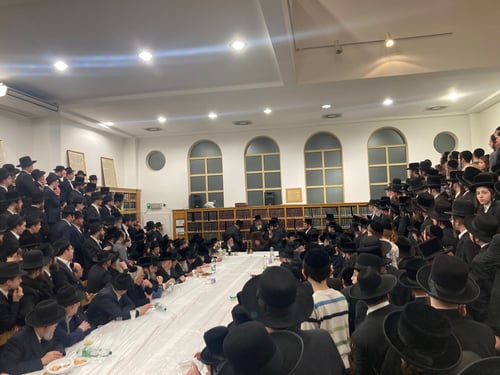 כל רבני העיר נהרו | האדמו"ר מסאדיגורה בטיש ט"ו בשבט באנטווערפן