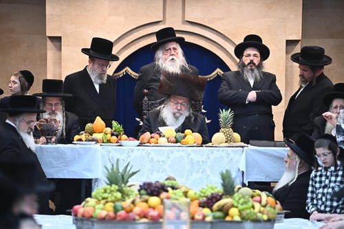 בבגדי שבת וברכת הפירות בעמידה: טיש ט"ו בשבט בצילו של האדמו"ר מנדבורנה