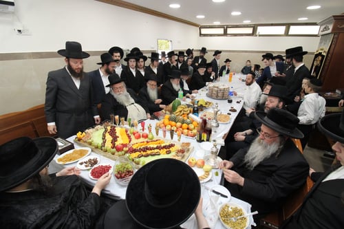 עיצובים מרהיבים וכבוד לזקנים | ט"ו בשבט בחצר הקודש צאנז ז'ימיגראד