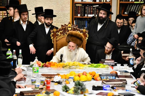 סוד האילן | עבודת הקודש של המשפיע הגרי"מ מורגנשטרן בטיש ט"ו בשבט