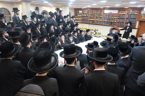 האתרוג של סוכות | צפו כשהרבי מקומרנא חתך את האתרוג לחתיכות קטנות