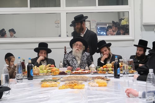 בקאפטען פרחוני כסוף | טיש ט"ו בשבט בשאץ דרוהביטש בבית שמש