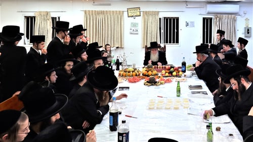 טיש צבעוני | הפירות המבהיקים בטיש ט"ו בשבט בבערגסאז