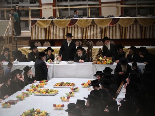 כסא מלכותי חדש, וכינוס נגד פגעי הטכנולגיה: ט"ו בשבט בחצה"ק פאפא 
