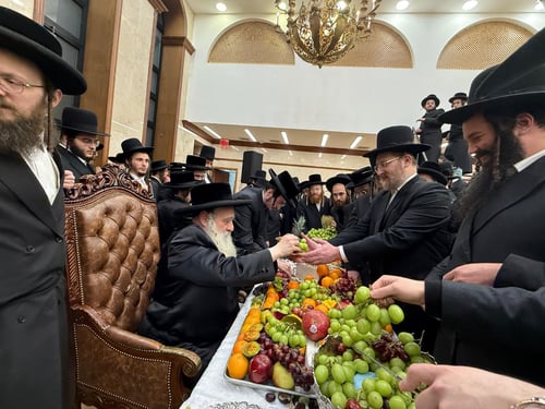 פירות ענקיים ושפע אמריקאי בטיש ט"ו בשבט בקראלי 