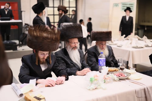 שמחת השושלות בבני ברק | אשלג, סטרעטין וזוועהיל התאחדו בשמחת הנישואין