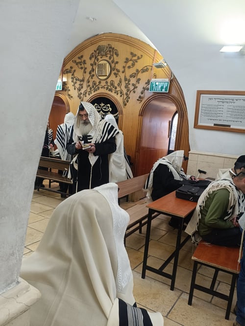 בפשטות ובהתעלות | מסע האדמו"ר מדושינסקיא לצפון • סיקור ותיעוד