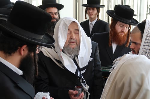 שני המאורות הגדולים | האדמו"ר מנדבורנה צפת בביקור הוד אצל הגרי"מ שכטר