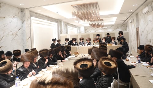 הרבנים נהרו בהמוניהם: ב"פ חגגה בשמחת השבע ברכות לנכד האדמו"ר מסקאליע