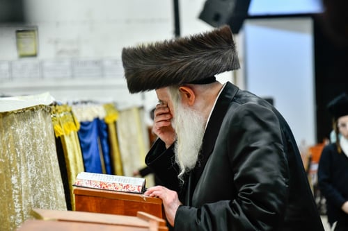 הרבי ממכנובקא בעלזא ויתר על כיבודי החופה וסחף בריקוד עם הצאצאים