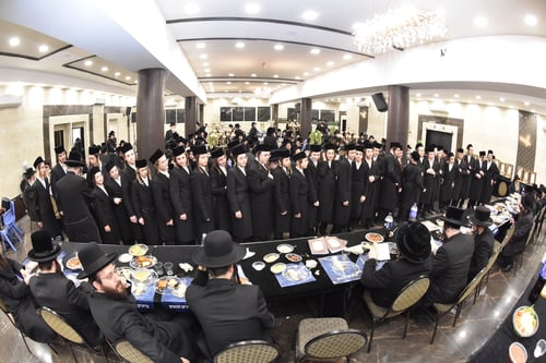 טל תורה: הצורבים הצעירים הפליאו בידיעותיהם את גדולי התורה במבחן הפומבי