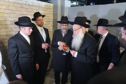 בני ברק: נכד חבר מועצת חכמי התורה נשא את נכדת ראש ישיבת 'אור אברהם' | גלריה
