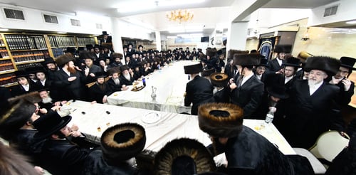 בתוף ובמחול; הרבי משבט הלוי אירס את נכדו עם נכדת האדמו"ר ממכנובקא בעלזא