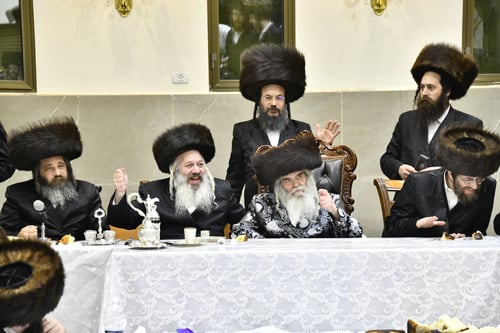 מעל גדר הטבע | הריקוד הסוער של האדמו"ר מקרעטשניף י-ם על הכיסא • צפו