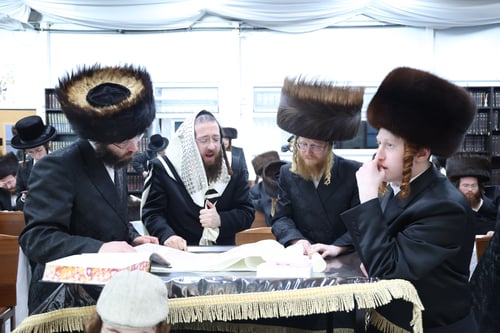 תורה ותפילה בבית שמש: סדר ימי הפורים המרוממים בחצר הקודש ספינקא • צפו