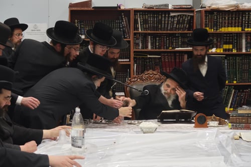 קוביות סוכר ויין: הילולת הרה"ק מליזענסק בחצה"ק אשלג 