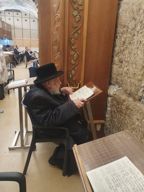 מול השריד האחרון | תפילת זקן אדמו"רי בית רוז'ין בכותל השומם • תיעוד
