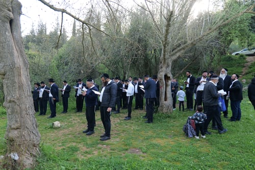 מיד אחרי הנץ: הגאון רבי בנימין חותה ב"ברכת האילנות" | תיעוד