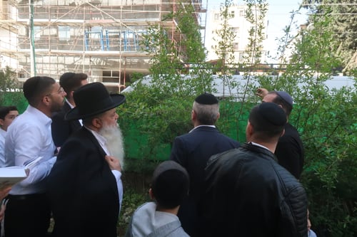 על יד עצי פרי סמוך למוסדותיו | הרב יגאל כהן בברכת האילנות 