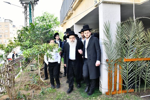 ממשיך מסורת אביו זצ"ל: הגאון רבי שרגא שטיינמן בברכת האילנות בקריית הרצוג