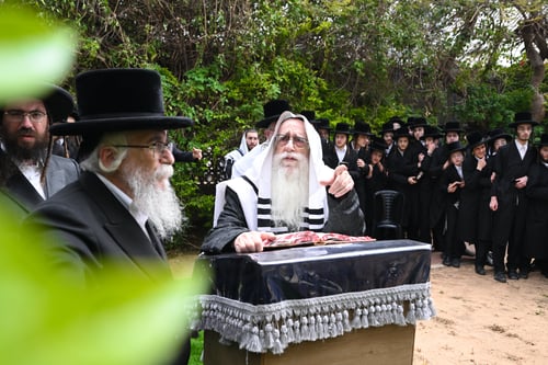 בַּחֲצַר גִּנַּת בִּיתַן הַמֶּלֶךְ | עטוף בטלית, כך בירך האדמו"ר מצאנז על האילנות 