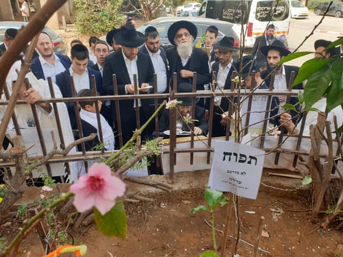 מבני ברק ועד לירושלים: האחים בן שמעון, הגר"ד זר והגר"ש בוסו בברכת האילנות