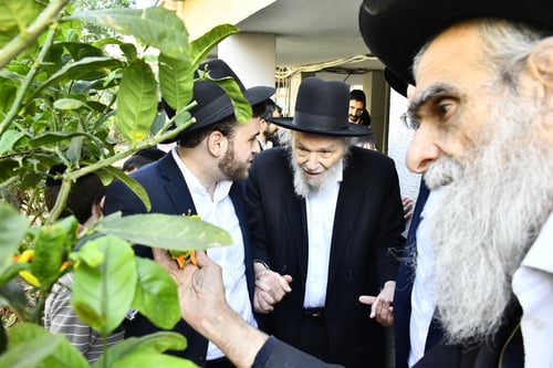 מול עצים שבורכו מגדולי ישראל | ראש הישיבה בברכת האילנות בקריית הרצוג