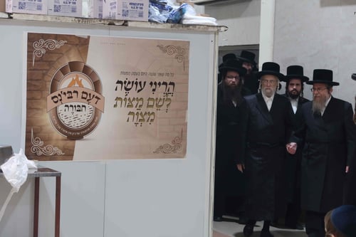פרחי החסידים עמלו - הרבי פיקח | מעמד אפיית המצות בסערט ויז'ניץ