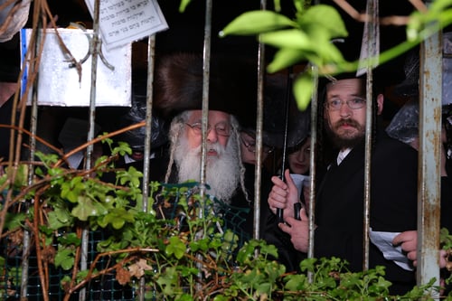 האדמו"ר מנדבורנה ירושלים בשטריימל בברכת האילנות ברחובות העיר | תיעוד
