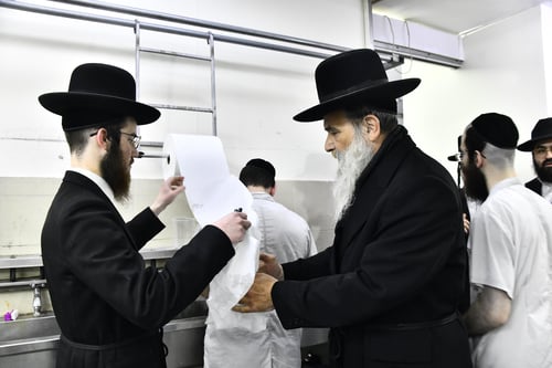 החסידים זימרו ניגונים בירכתי המאפייה | האדמו"ר מאשלג בני היכלא באפיית המצות