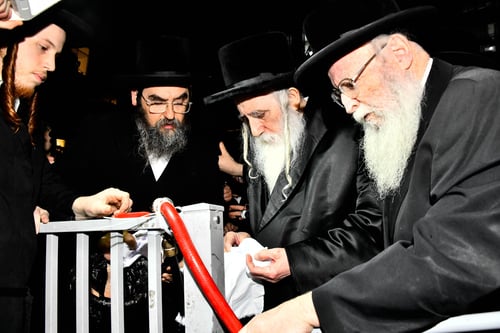 כף, נר ונוצה לפרחי החסידים | אור לארבעה עשר בחצר מכנובקא בעלזא