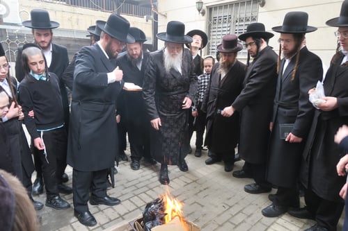 בפח אישי ובאש קודש | צפו בשריפת החמץ של האדמו"ר ממודז'יץ