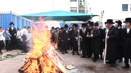 הסוד שעבר מאליהו הנביא; ערב פסח בחצר הקודש טשארנאביל | תיעוד
