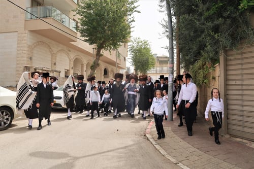 מחזה מרהיב בבני ברק | הרבי מפרמישלאן יצא לברך את האילנות המלבלבים • צפו