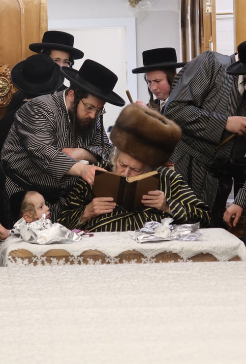האורח ממונסי והקערה המפוארת | רגעי הוד בצילו של האדמו"ר מתולדות אברהם יצחק