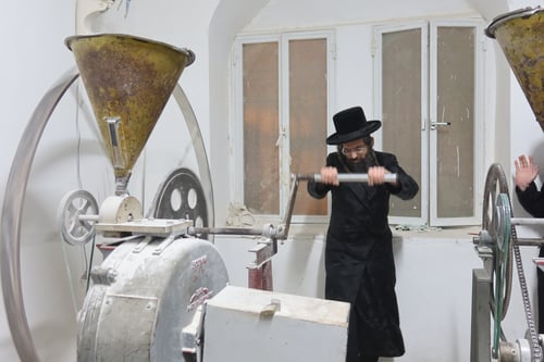 ימי האורה בזוועהיל | התפילה החרישית בכותל וחלוקת מצות ושוקולדים בצאת החג
