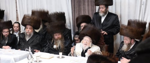 התעלות בקרית הקודש | גלריית ענק מכל מעמדי הפסח בחצר הקודש קרעטשניף
