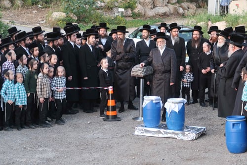 בני האדמו"ר נצפו עם גרביים שחורות: חודש הגאולה בחצר הקודש סערט ויז'ניץ