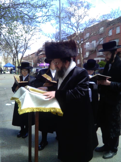 בלב וויליאמסבורג: כשהרבי החדש נעמד עם הסטנדר לברכת האילנות